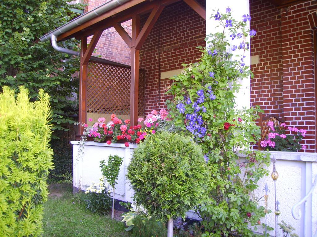 Ferienwohnung Froehlich Bad Suderode Εξωτερικό φωτογραφία